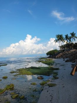 Point of Rocks on Siesta Key 